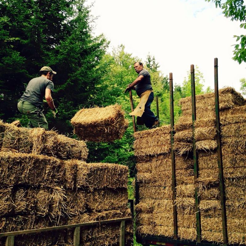 Predaj - slamené balíky